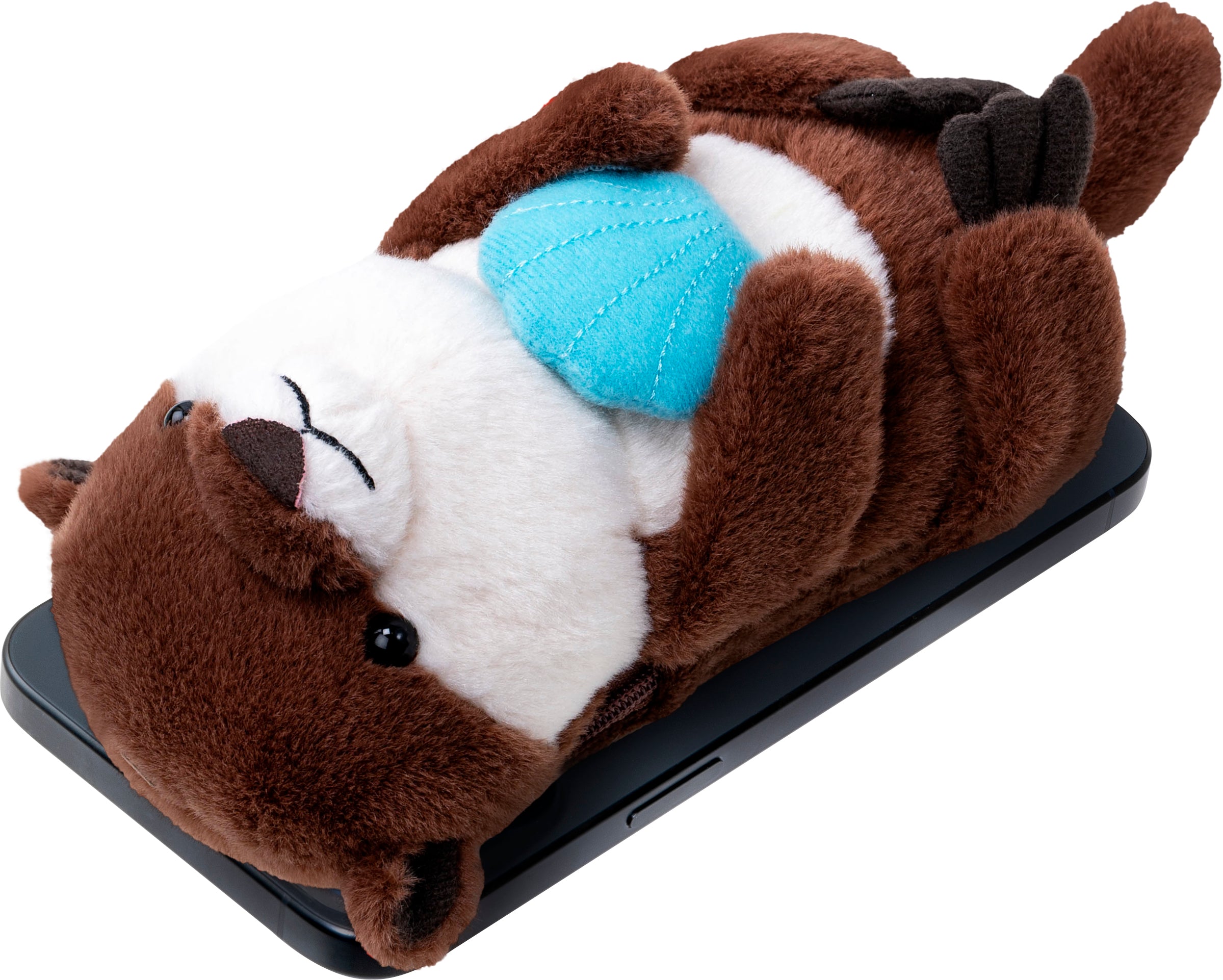 Ocean Otter