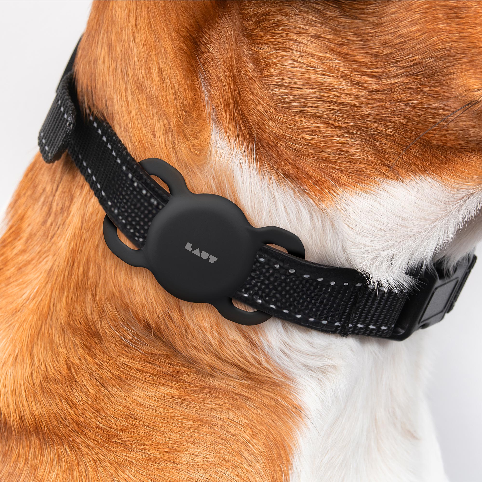 PET TAG - AirTag-Halter für ihr Haustier