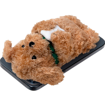 Ginger Dog