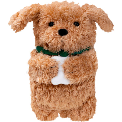 Ginger Dog